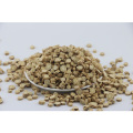 In Stock Dried Chinese Radix Astragalus Sarcocolla